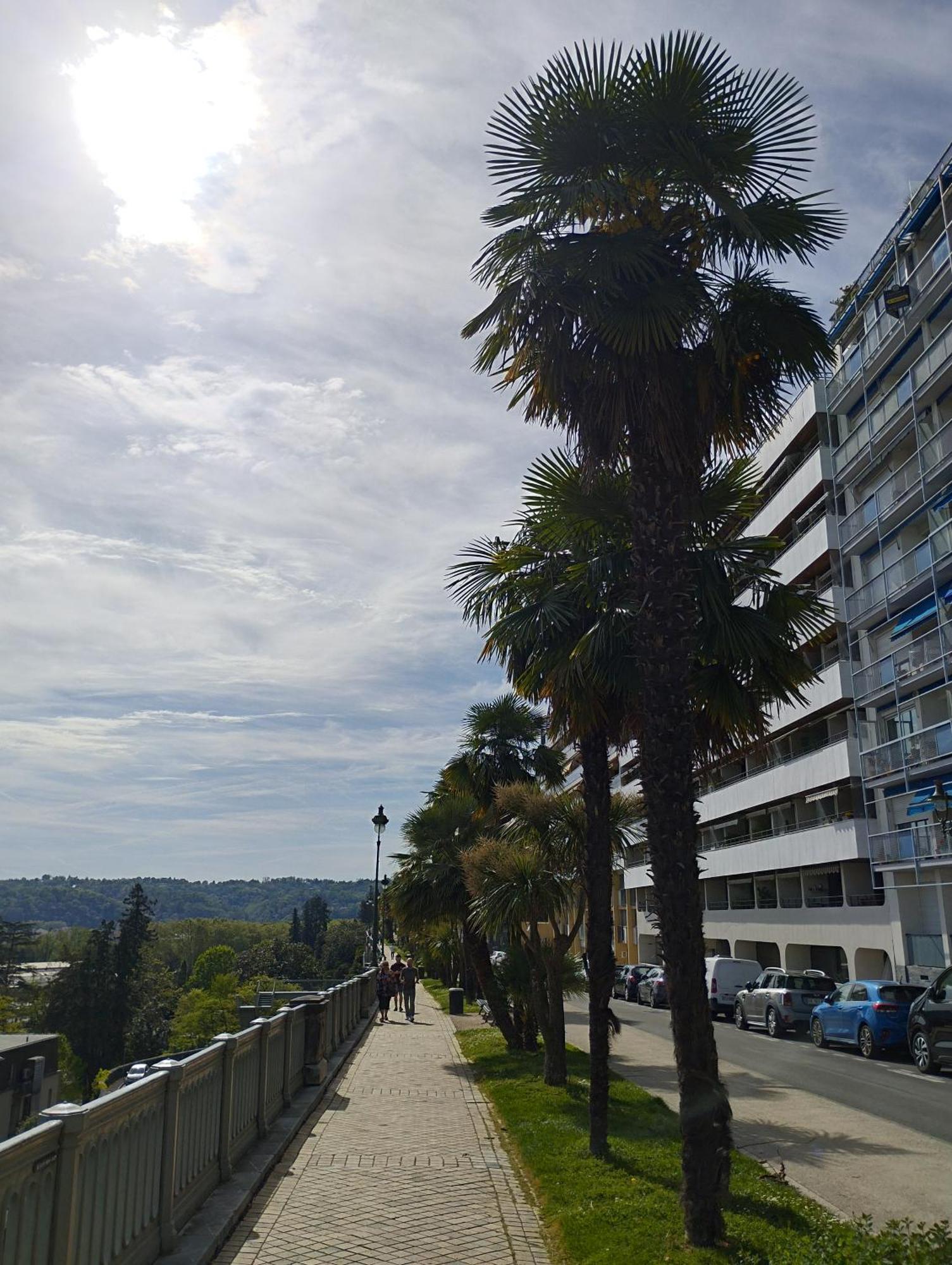 Chambrette Boulevard Des Pyrenees Hypercentre 10M Carre Wc Sur Le Palier, Porte40 Pau Εξωτερικό φωτογραφία